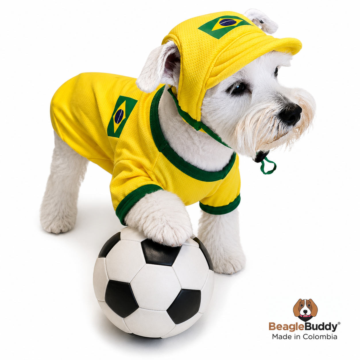 Brazil National Team