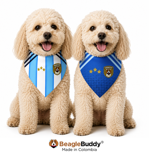Argentina Soccer Dog Bandana