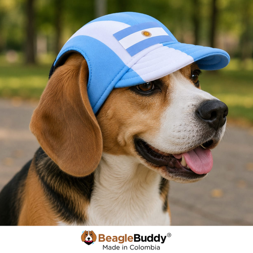Argentina Soccer Dog Cap