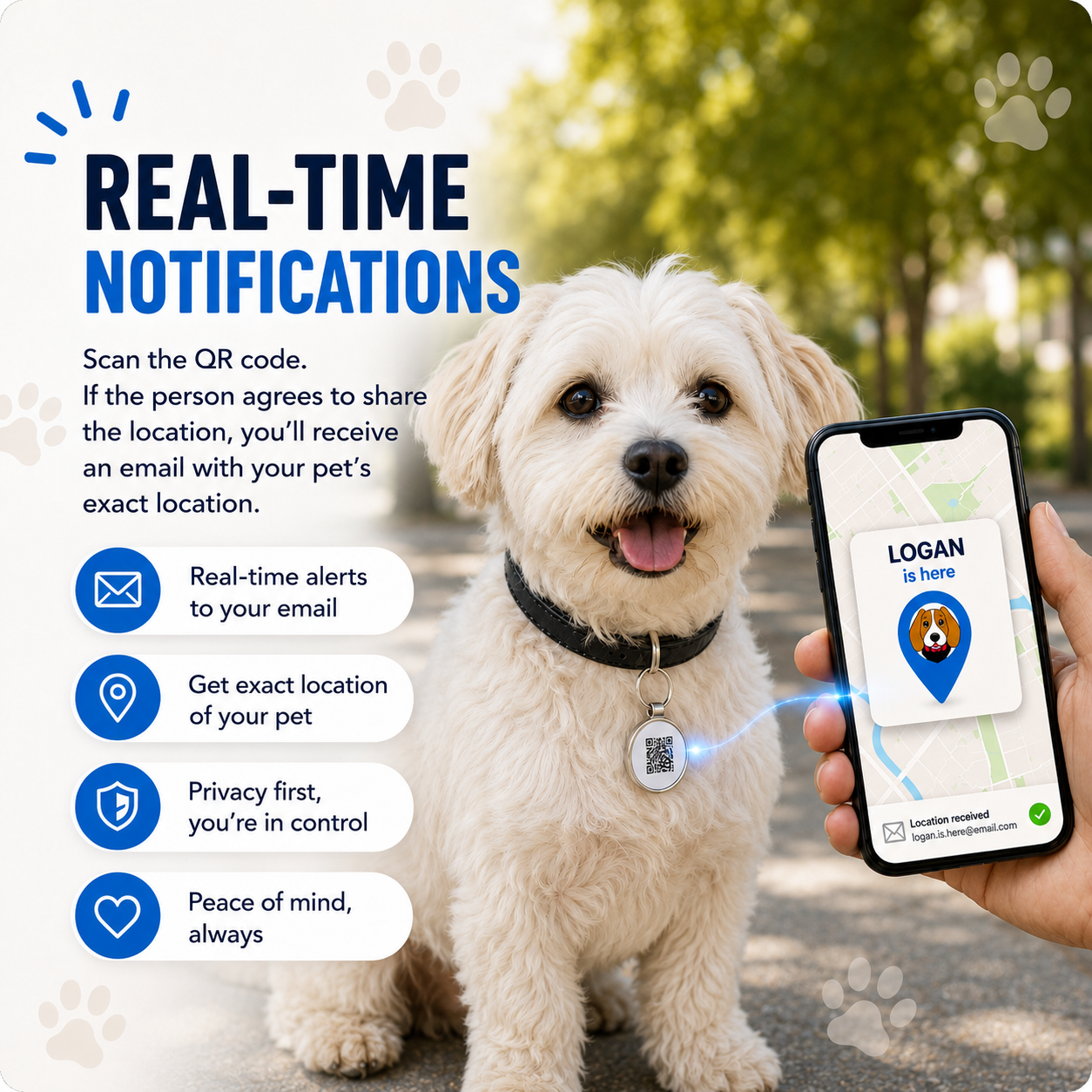 Pet Tag for Female Dogs