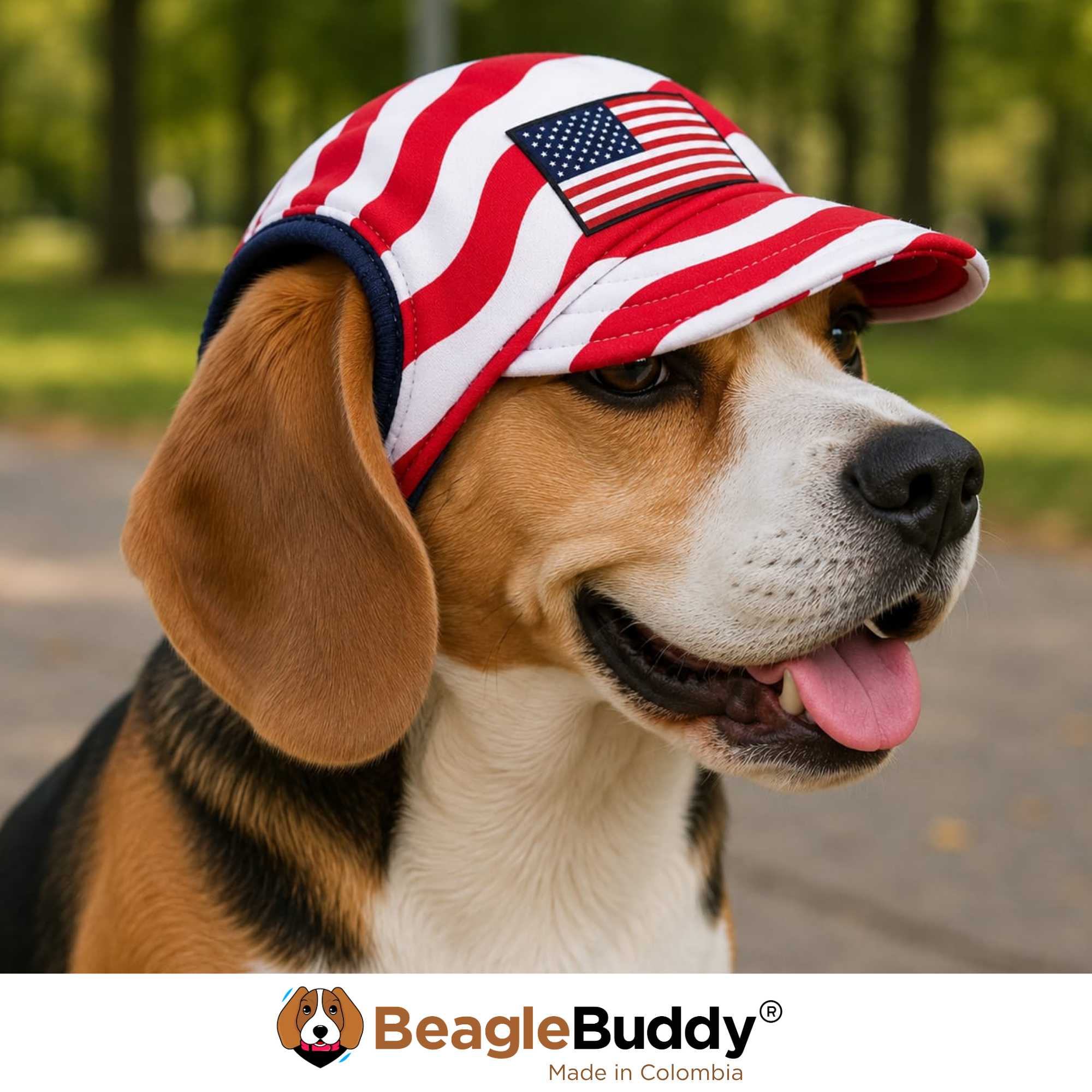USA Soccer Dog Cap